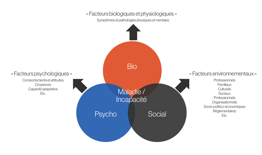 Annexe A Mod Le Biopsychosocial L Incapacit Et Le Retour Au Travail